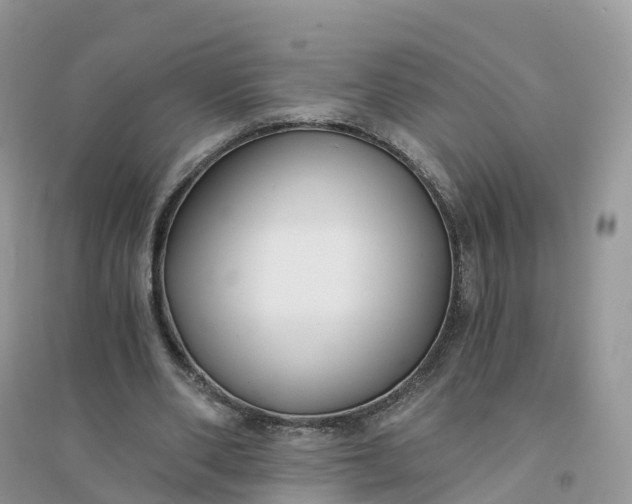 X0000096180486200802011346