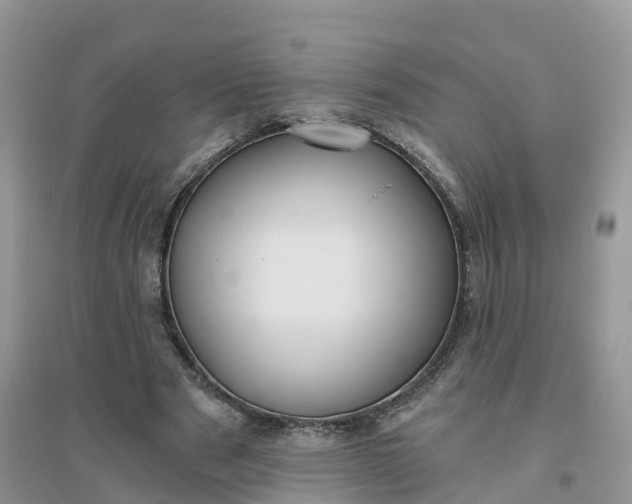X0000096180489200802011346