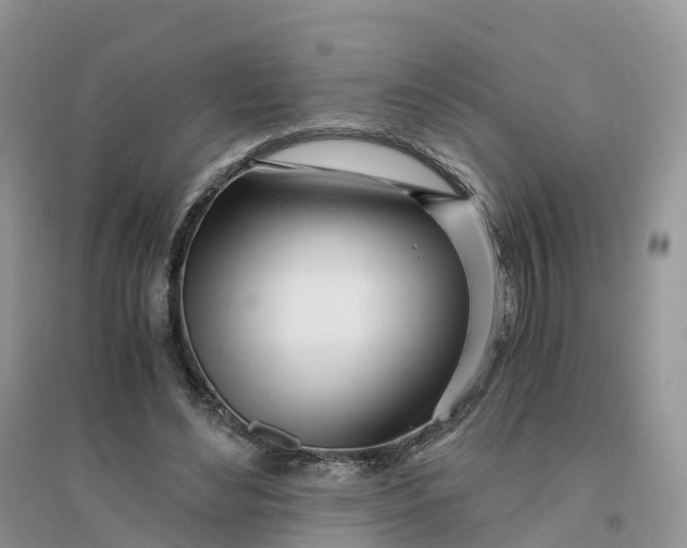X0000096180492200802011346