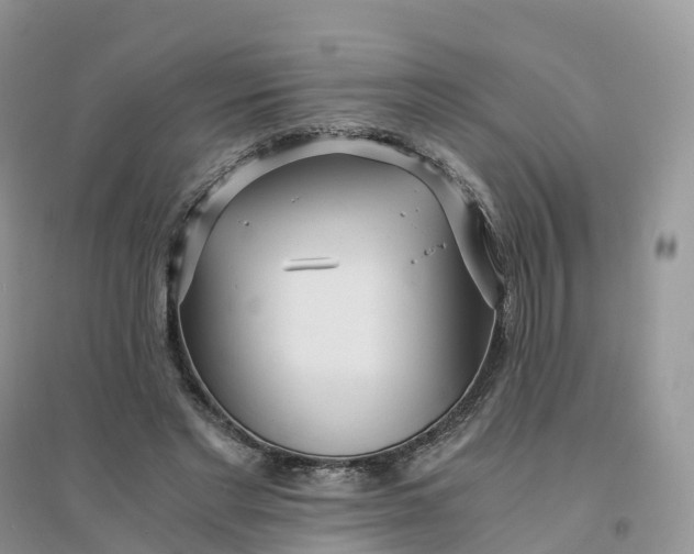 X0000096180493200802011346