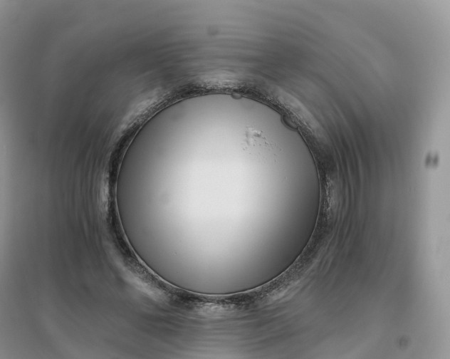 X0000096180494200802011346