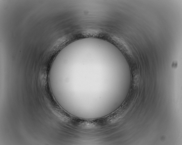 X0000096180498200802011346