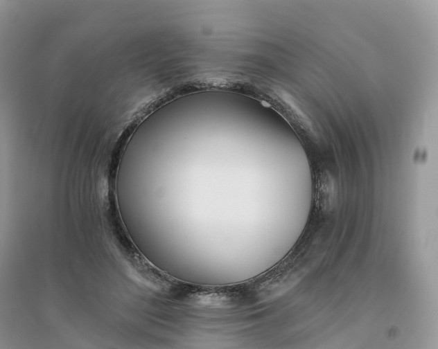 X0000096180500200802011346