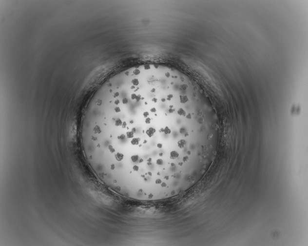 X0000096180502200802011346