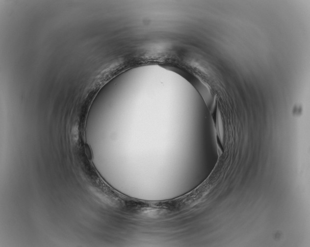 X0000096180504200802011346