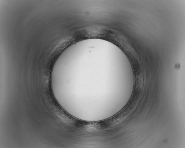 X0000096180505200802011346