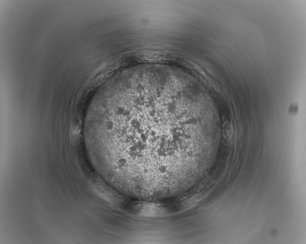 X0000096180507200802011346