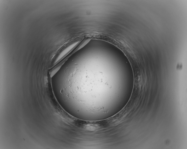 X0000096180508200802011346