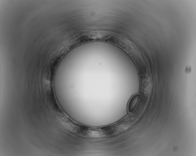 X0000096180510200802011345