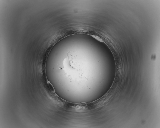 X0000096180512200802011345