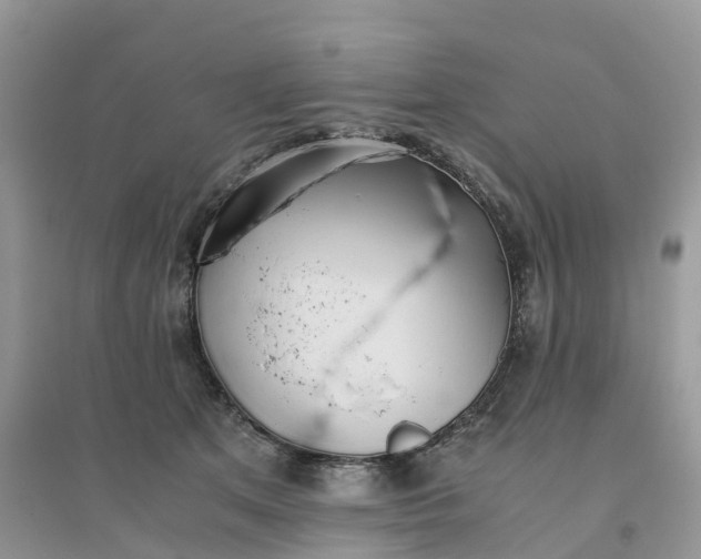 X0000096180513200802011345