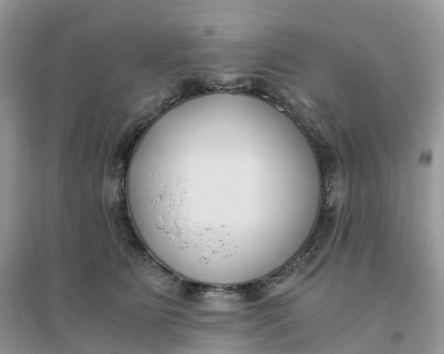 X0000096180515200802011345