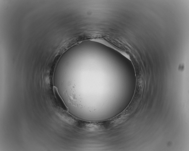 X0000096180516200802011345