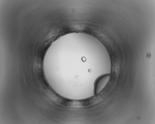 X0000096180518200802011345