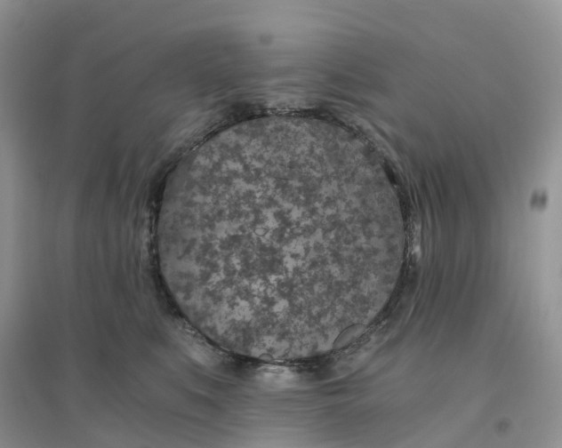 X0000096180519200802011345