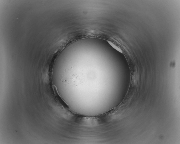 X0000096180520200802011345