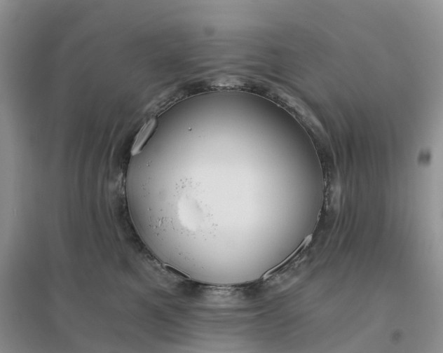 X0000096180521200802011345