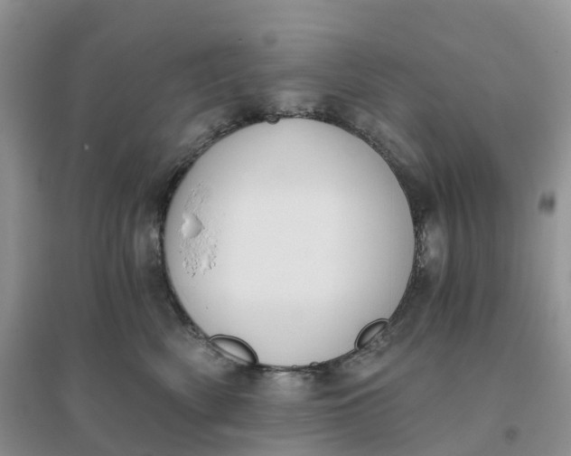 X0000096180522200802011345