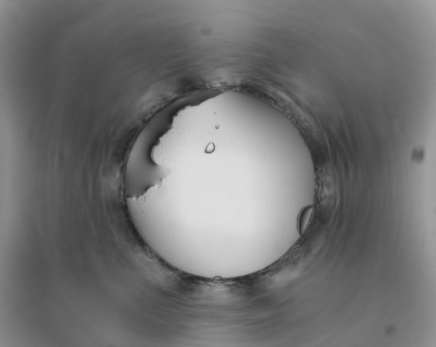 X0000096180523200802011345