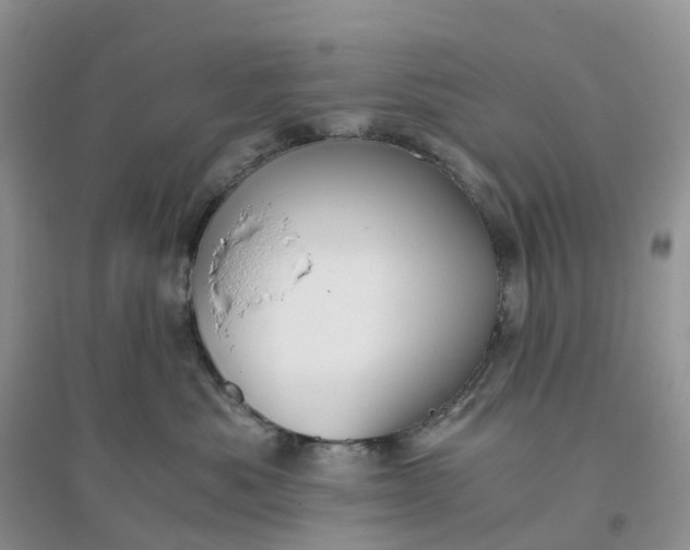 X0000096180525200802011345