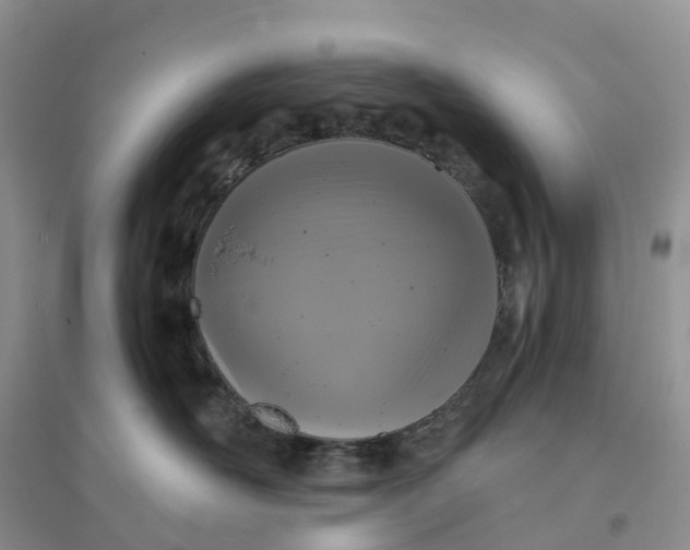 X0000096180526200802011345