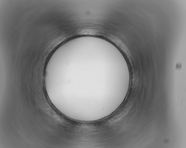 X0000096180529200802011344