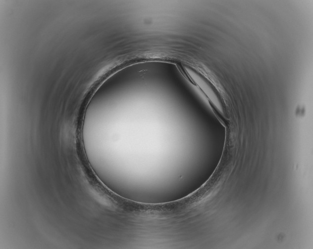 X0000096180530200802011344