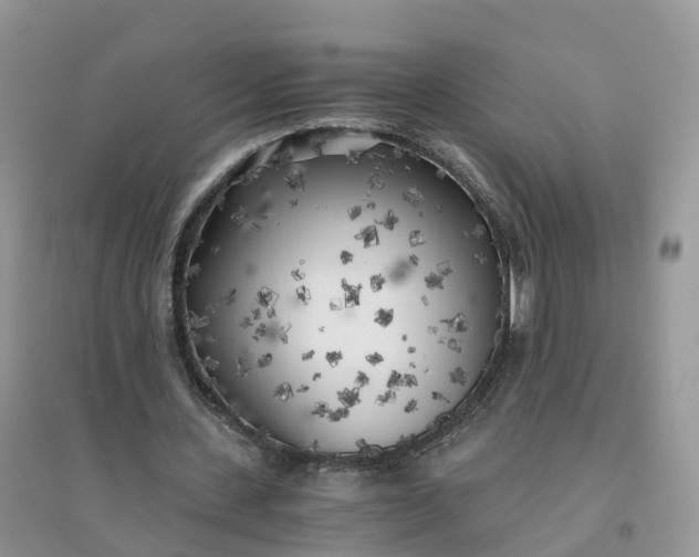 X0000096180531200802011344