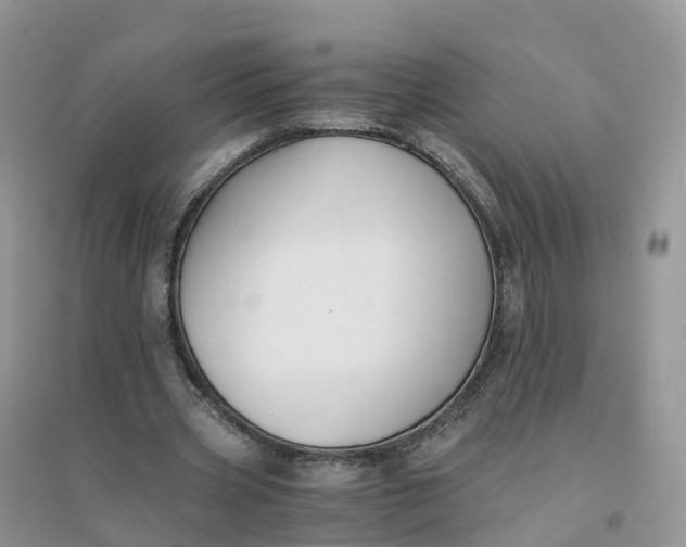 X0000096180533200802011344