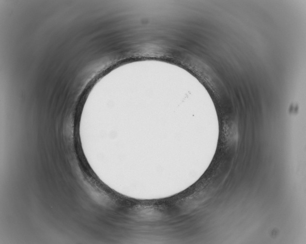 X0000096180534200802011344