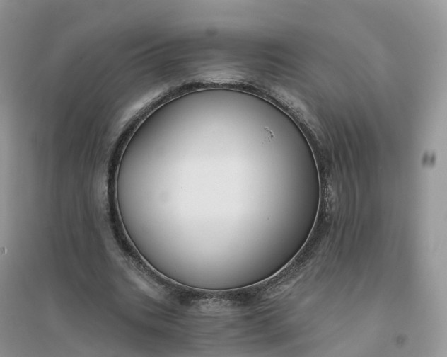 X0000096180535200802011344