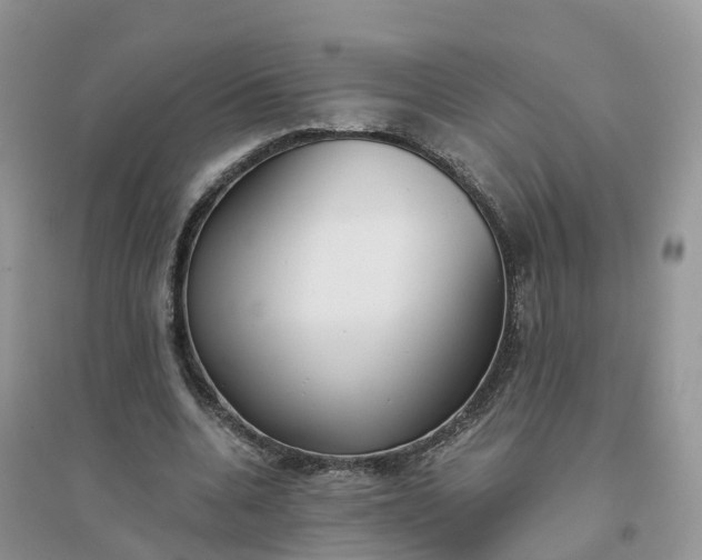 X0000096180536200802011344