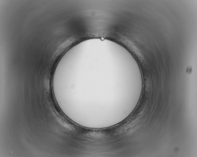 X0000096180537200802011345