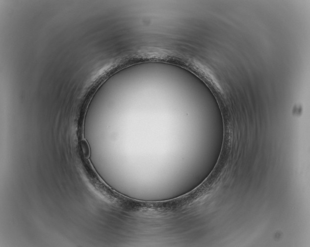 X0000096180538200802011345