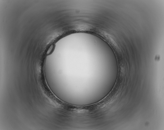 X0000096180539200802011345