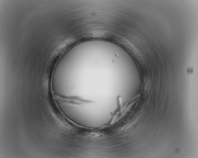 X0000096180542200802011345