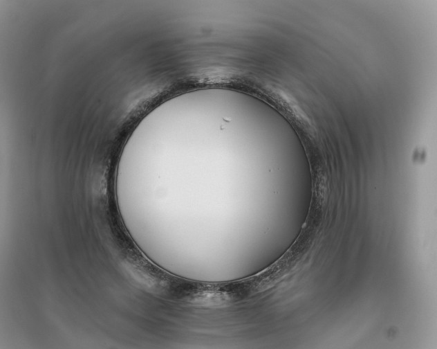 X0000096180543200802011345