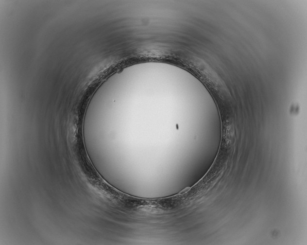 X0000096180544200802011345