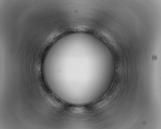 X0000096180548200802011345