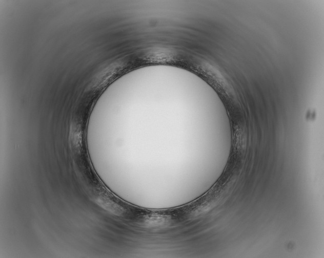 X0000096180549200802011345