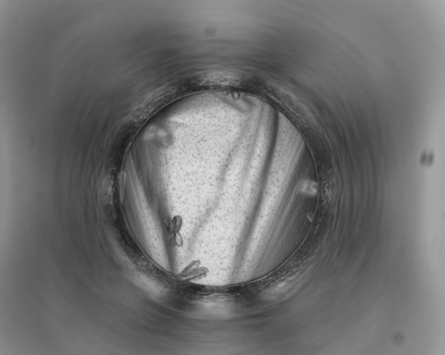 X0000096180551200802011345