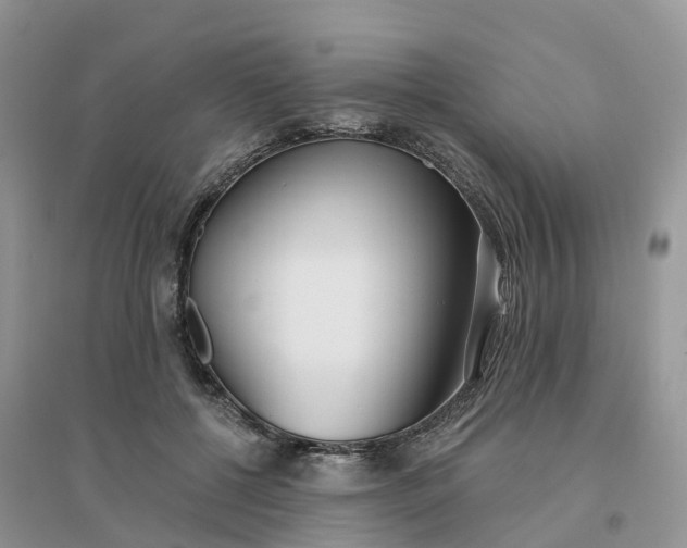 X0000096180552200802011345