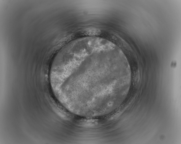 X0000096180553200802011345