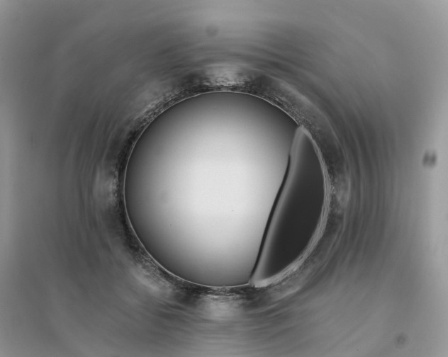 X0000096180556200802011345