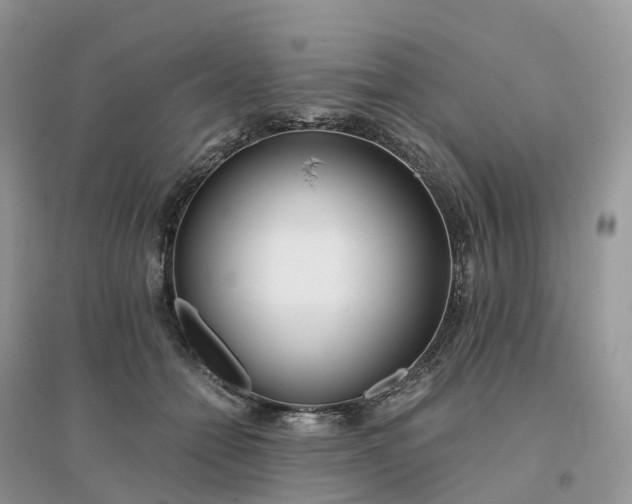 X0000096180558200802011345