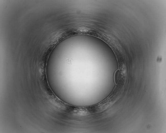 X0000096180559200802011345