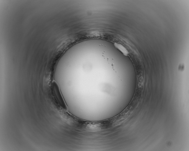 X0000096180560200802011345