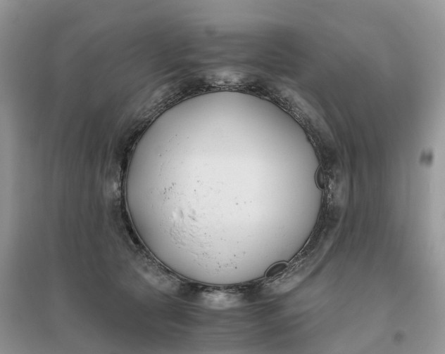 X0000096180561200802011345