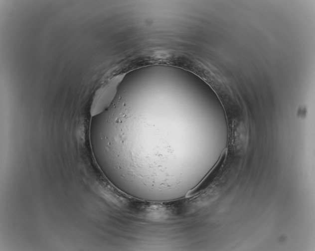 X0000096180562200802011345