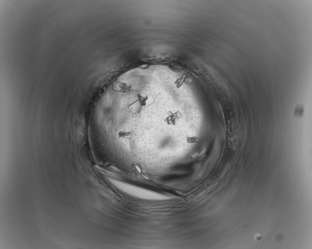 X0000096180563200802011345